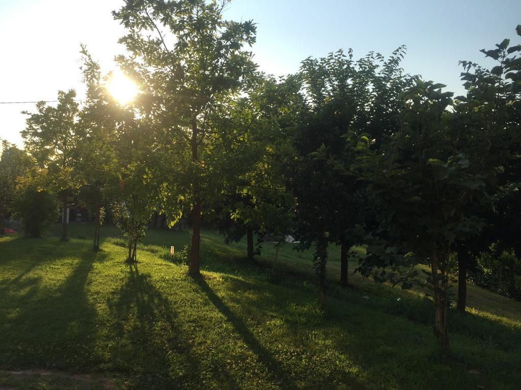 B&B Nido Sui Laghi San Donnino della Nizzola 외부 사진